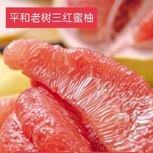 斤琯溪福建当季水果新鲜采摘包邮皮多汁5红肉平和红柚薄三红蜜柚