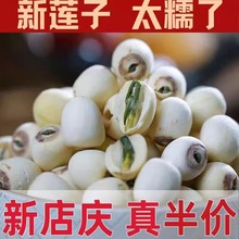 今年的新莲子带心的白连干货500g莲子带芯官方旗舰店大颗粒结婚用