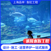 亚克力鱼缸生产厂家  生态海洋水族馆承接有机玻璃工程景观鱼缸