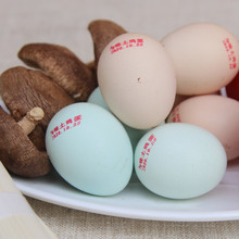 【初生蛋】土鸡蛋绿壳蛋混装乌鸡蛋农家散养月子鸡蛋整箱批发