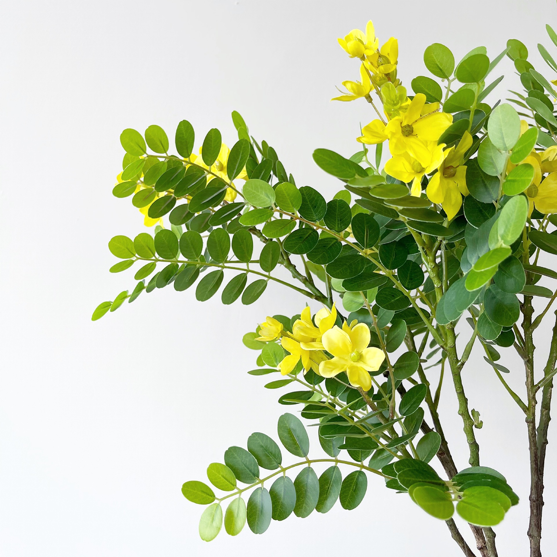 仿真黄槐花叶 黄花叶槐花树叶槐树叶园林工程造景家居装饰仿真花