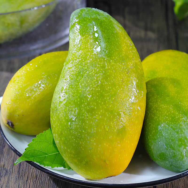 海南金煌芒果越南大青芒非贵妃芒新鲜水果奶茶饮品店