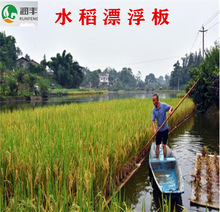 批发鱼塘种植水稻漂浮板/水稻浮床/水上种植板/水上稻浮板/送盆子