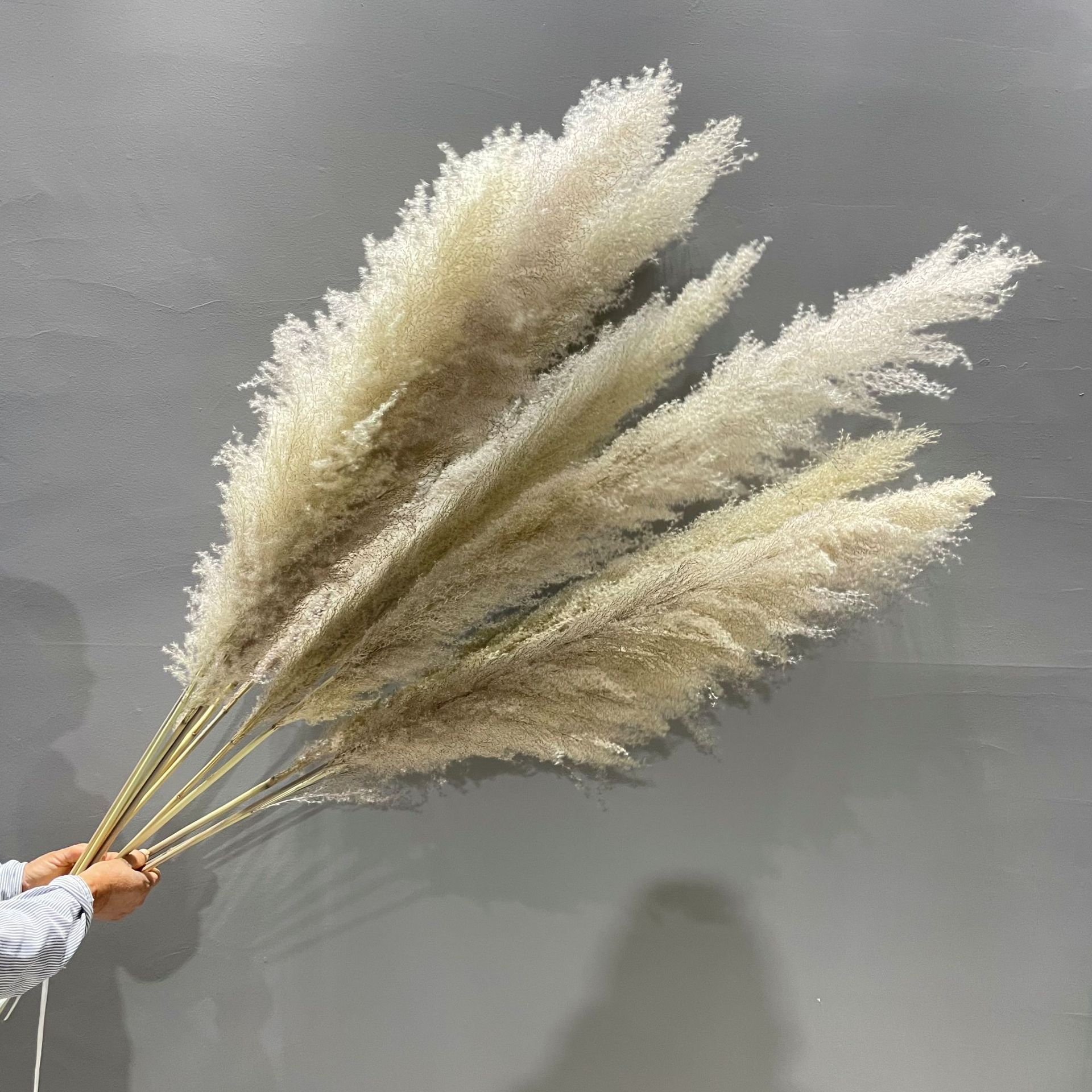 大芦苇干花蒲苇帕斯草厂家外贸批发家居婚礼摆设装饰婚庆拍摄道具