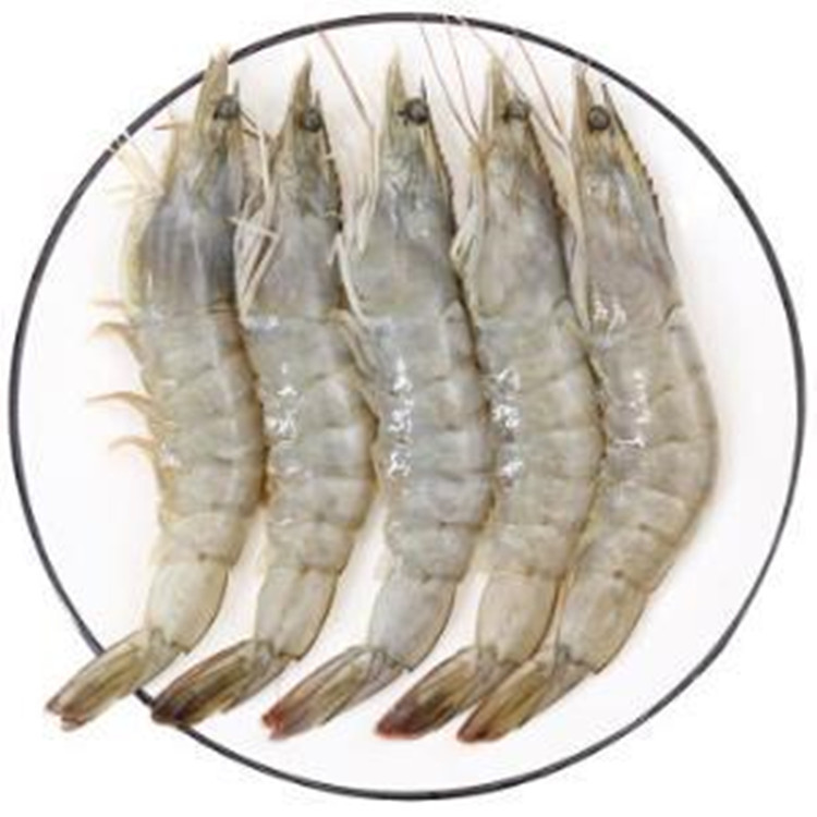 白对虾 白虾 国产南美白虾 活冻白虾 火锅 白灼 爆炒都适合-阿里巴巴