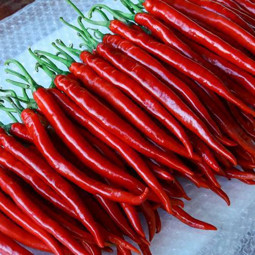 5斤新鲜贵州红辣椒二荆条红线椒红海椒辣子蔬菜长辣椒包邮-阿里巴巴