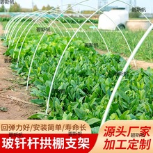 菜地弓杆阳台种菜搭棚防雨棚菜棚蔬菜耐用大棚骨架农家用玻纤农业