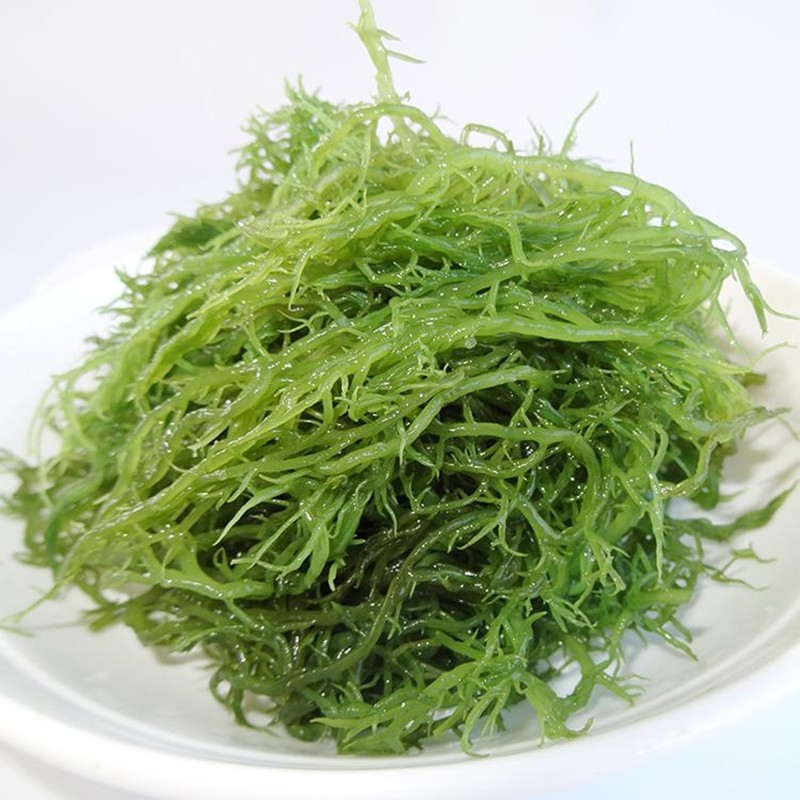 海花之秀龙须菜4_副本