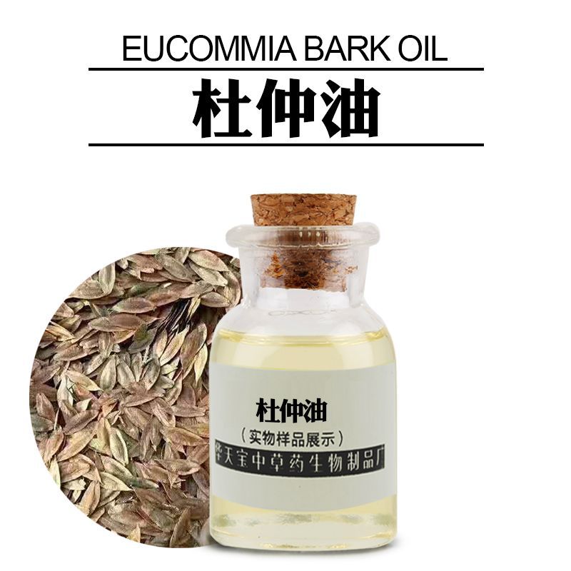 杜仲油 1kg 萃取杜仲籽油 eucommia bark oil 天然杜仲单方精油