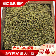 新货吴茱萸中药材吴茱萸粉非野生江西直销小绿吴茱萸无硫批发零售