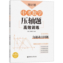 周计划 中考数学压轴题高效训练 匀速动点问题 答案详解版