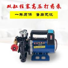 |手提式打药机农用电动果树喷雾器12V48V60V220伏高压双缸柱塞药