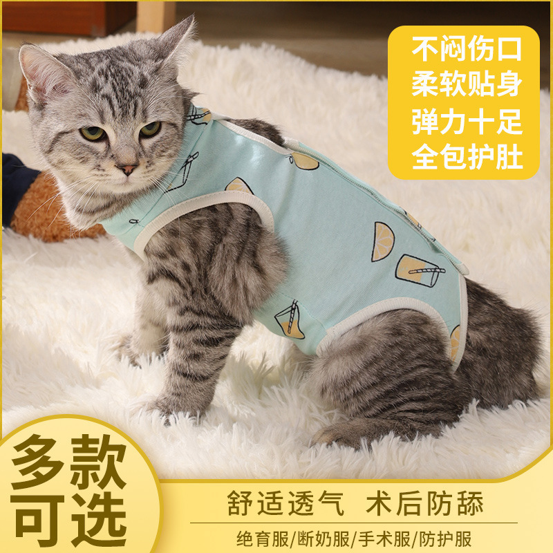 猫咪绝育服 产后断奶手术服防舔抓小型犬猫通用猫衣服 宠物绝育服