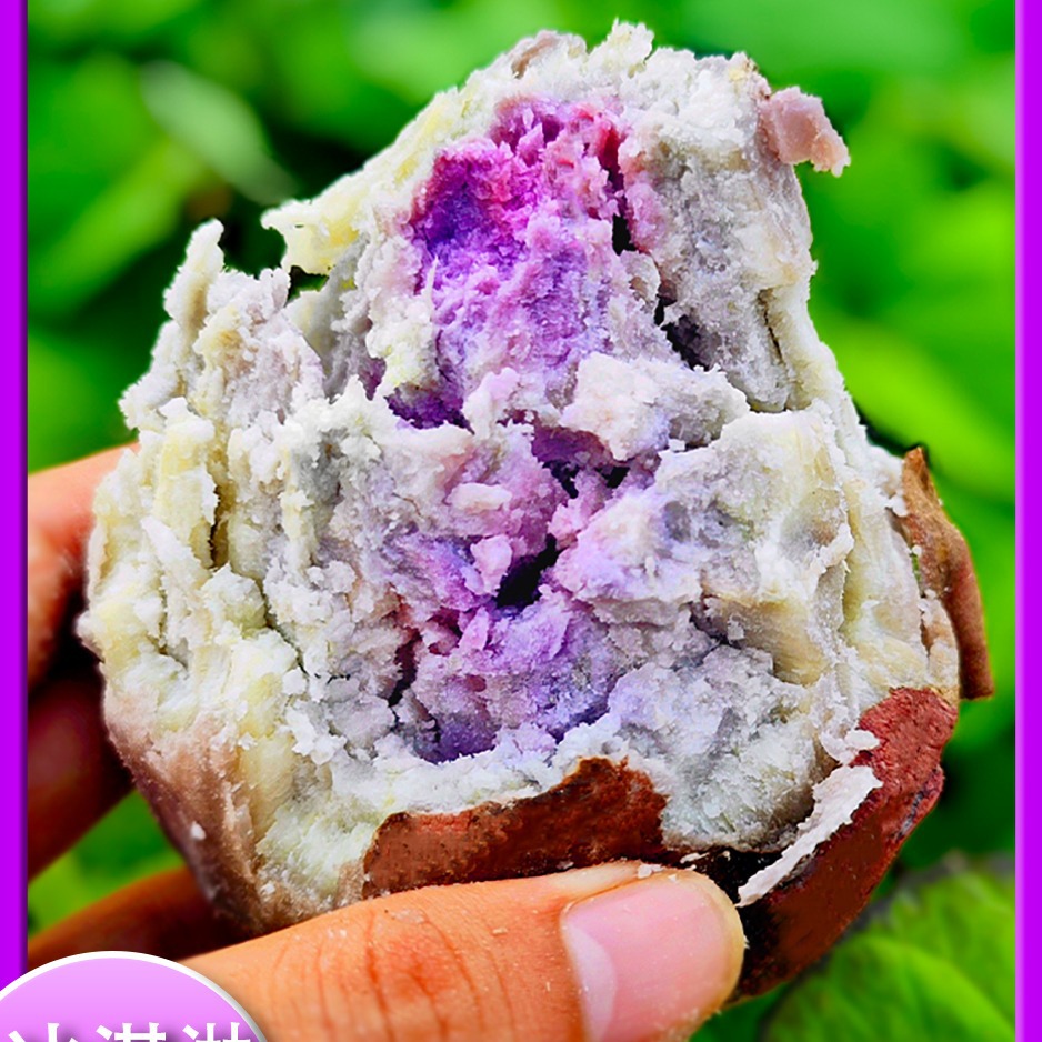 广东沙地红薯冰淇淋番薯新鲜一点红番薯农家自种现挖紫心红薯地瓜