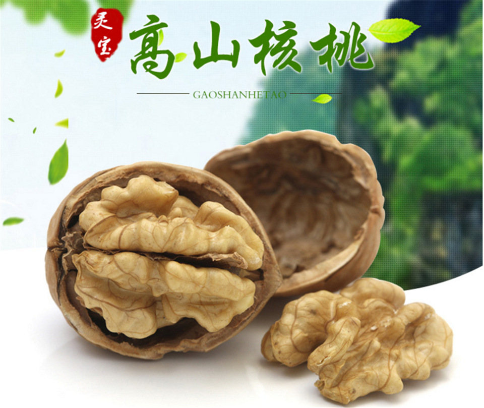 三门峡灵宝寺河山小秦岭新鲜核桃老树核桃清香原味5斤49元包邮