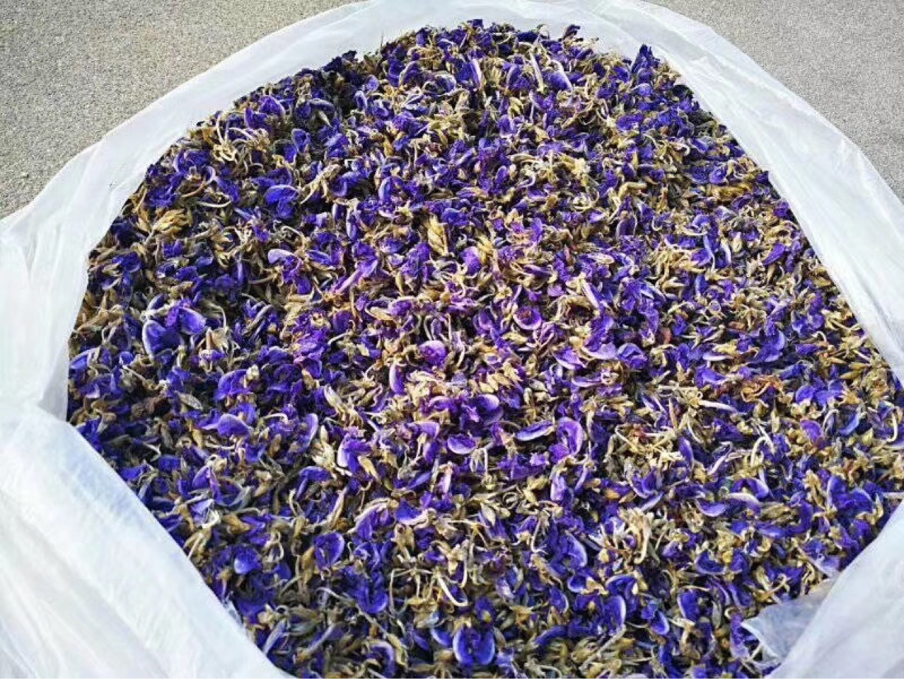 产地直发葛花干葛花茶花茶葛根花茶