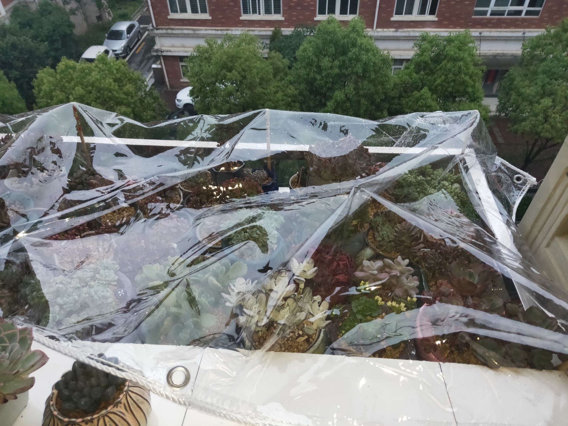 透明帆布塑料膜蓬布防雨阳台棚布挡雨保温遮雨防水布油纸篷布