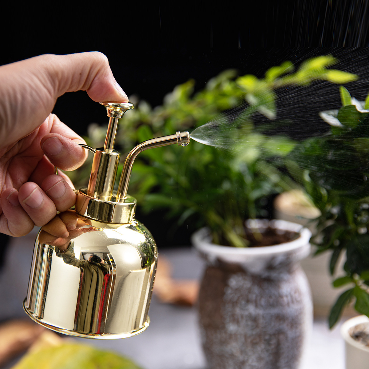 小型多肉浇水喷水壶304不锈钢黑金色花园室内复古淋花喷雾器金属