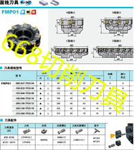 株洲 刀盘 FMP01-315-D60-TP22-20 W04R WM8*22 LOM5*15.1 WT25T