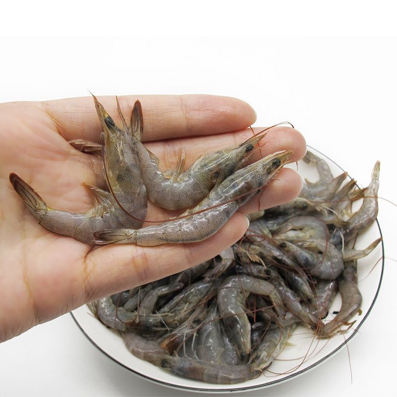 新鲜生冻基围虾仔小虾对虾明虾对虾400克x4包补钙佳品孕妇食品