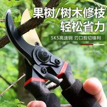 强力加厚SK5钢树枝剪园艺苗圃修枝剪粗枝果树剪 剪枝锋利树枝剪刀