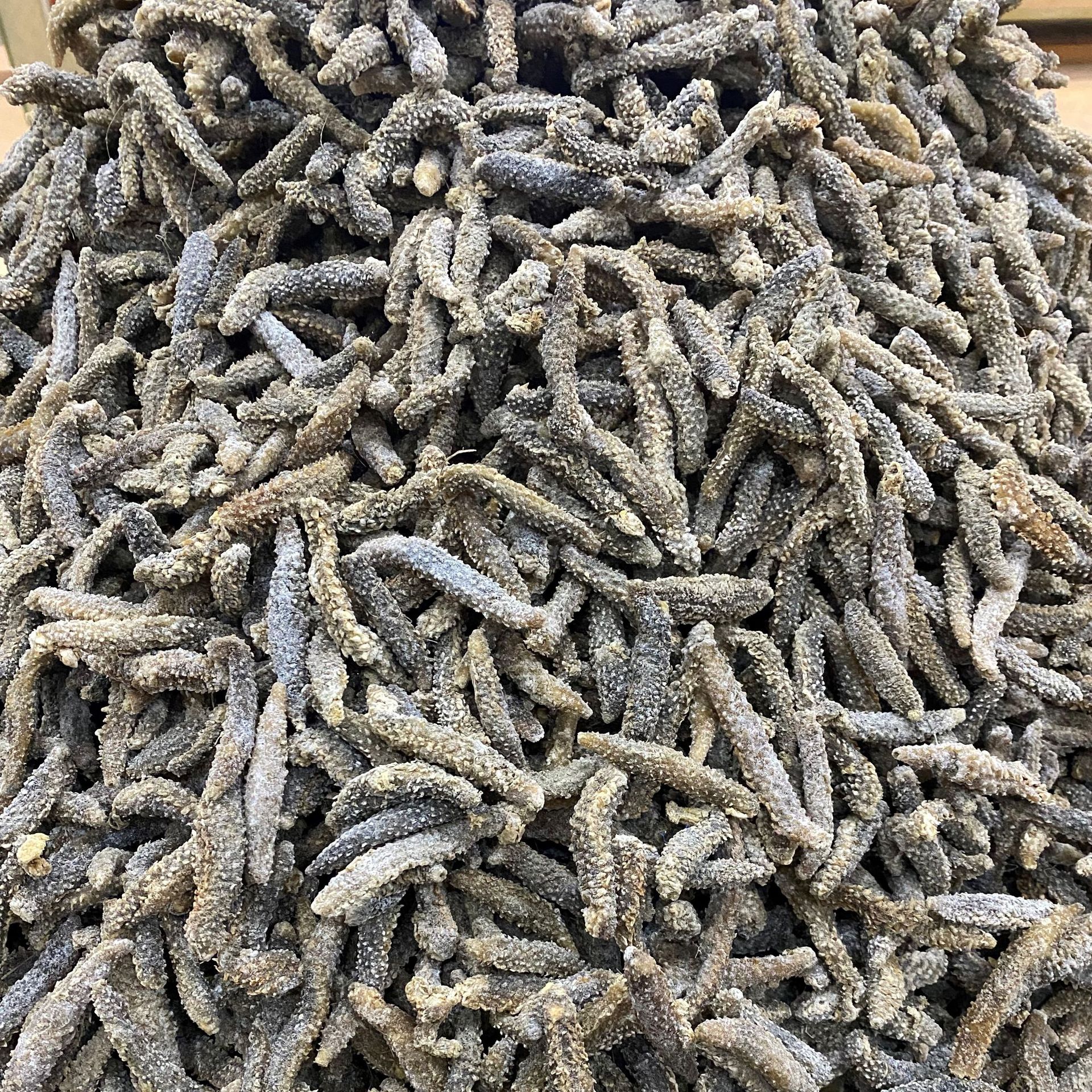 印尼小刺参刺秃参海参泡发率高小米刺口感好小白刺110头干货批发