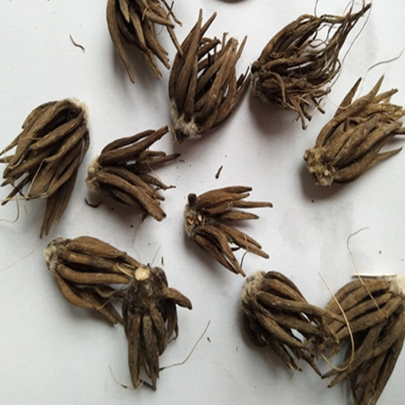 批发 花毛莨种球 种重瓣洋波斯毛茛芹叶牡丹根茎 花毛莨花卉种子