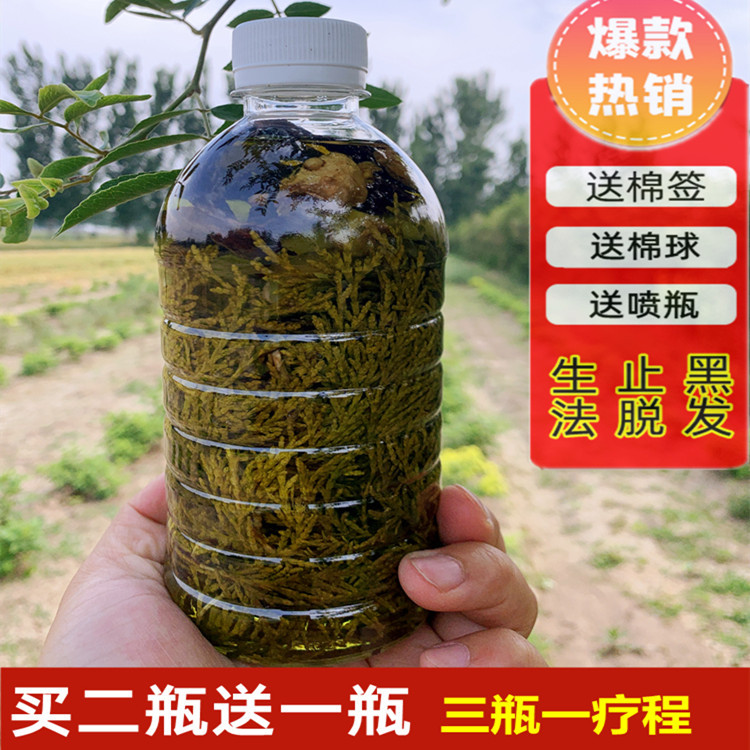 新鲜侧柏叶生姜骨碎补泡酒精野生密发增发水乌发生发液中药酒脂溢