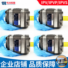 替福伊特齿轮泵IPV/S4/5/6/7-80/100-101内啮合德国voith液压油泵