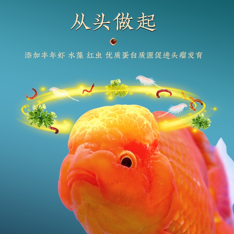 Yee Lanshou Fish Goldfish Feed Sink High Protein Small Particles Floating Special Fish Foodstuff Taishi Fish Food