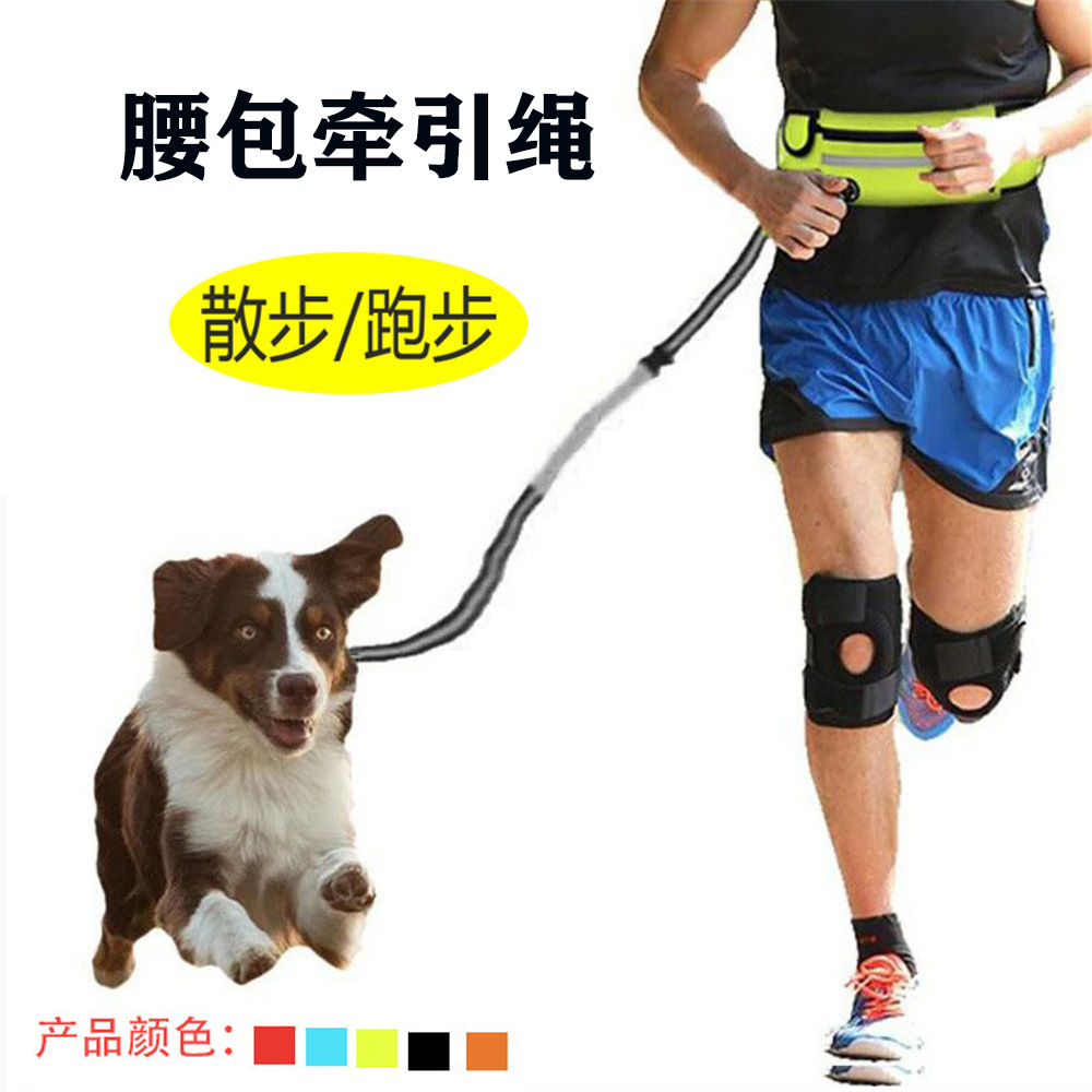 运动腰包牵狗绳套装 跨境反光弹力防爆冲户外宠物用品跑步牵引绳
