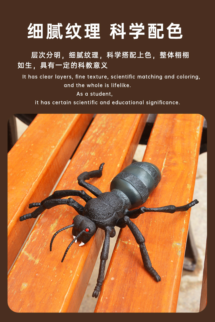 跨境多款仿真昆虫海底动物摆设沙盘场景科教认知动物模型厂家批发