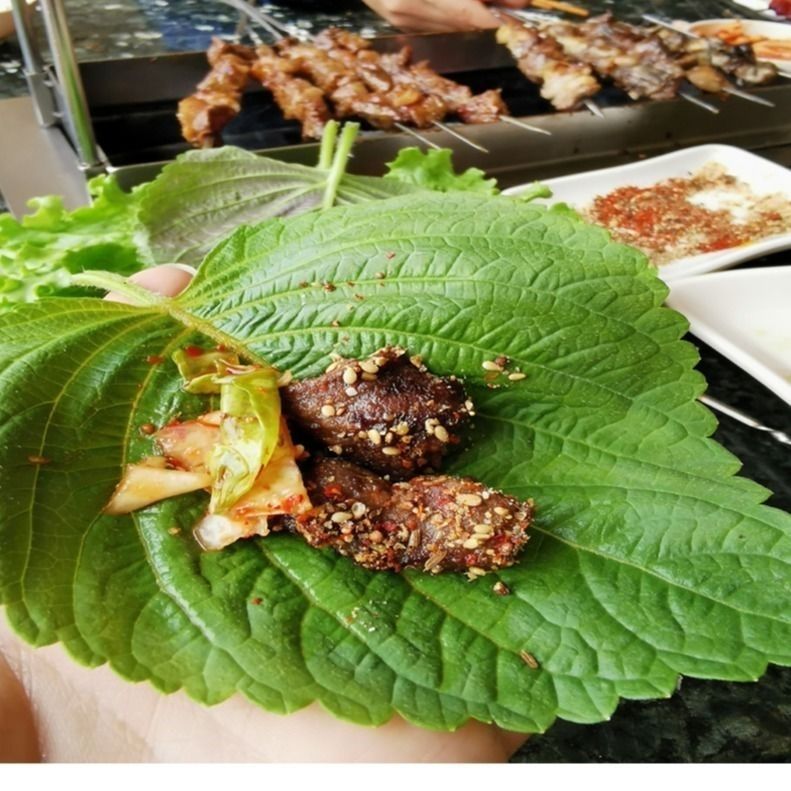 东北延边新鲜苏子叶韩国料理烤肉紫苏叶东北包饭叶200片左右