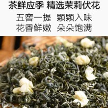 新茶浓香型B飘雪级茉莉花茶50g精选茉莉伏花粒粒入味花香味正甘甜