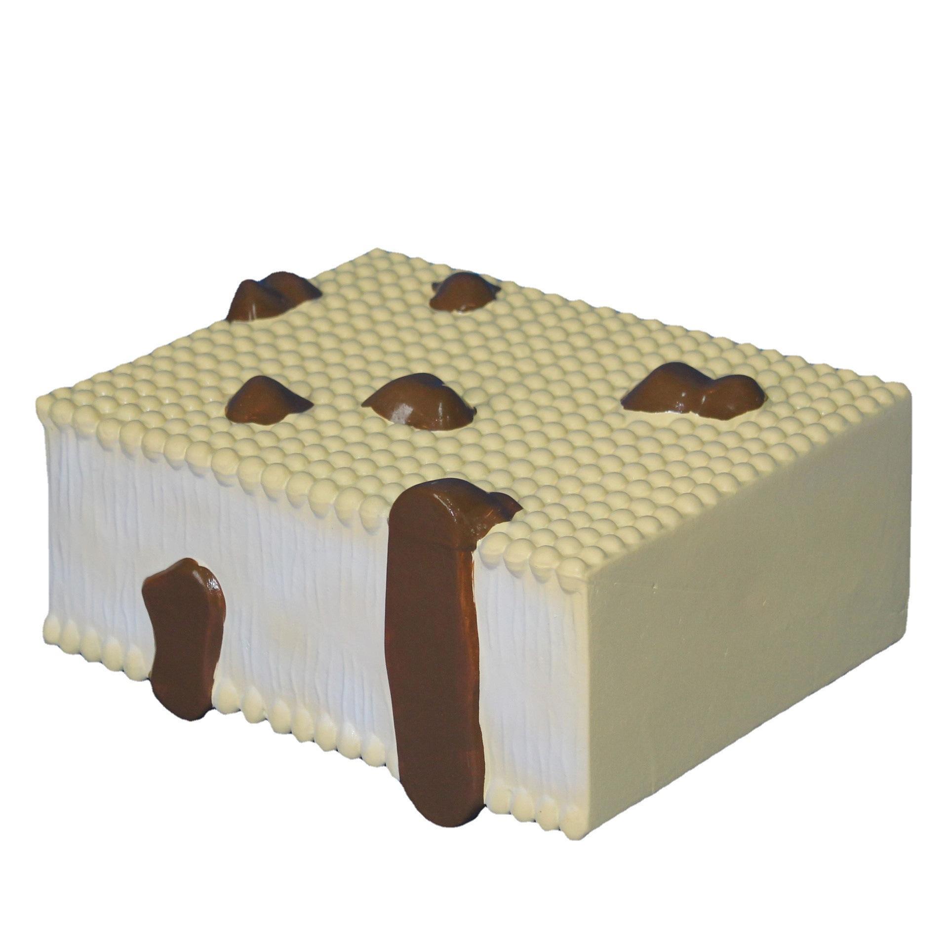 细胞膜结构模型 三层结构蛋白质脂质分子排列方式 生物教学器材