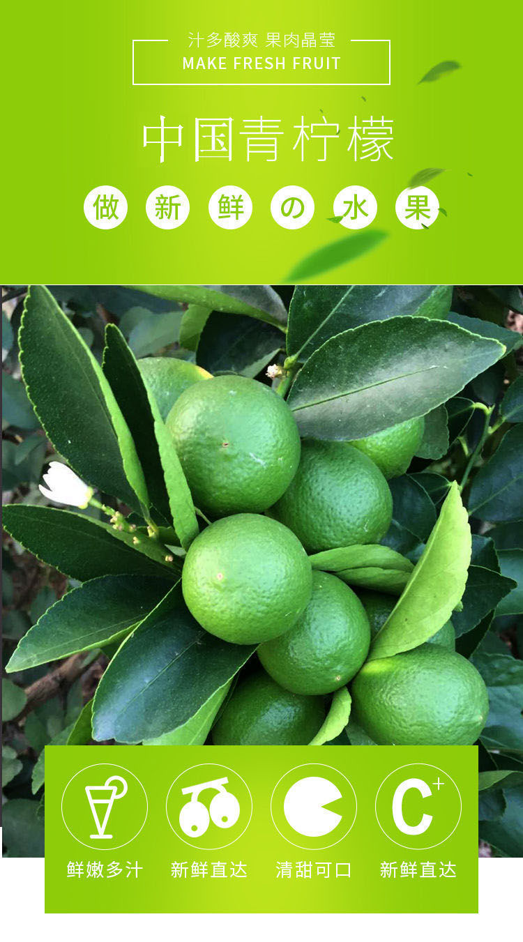 果园现摘 泰国品种无籽四季青柠檬新鲜1斤包邮皮薄多汁酸爽十足