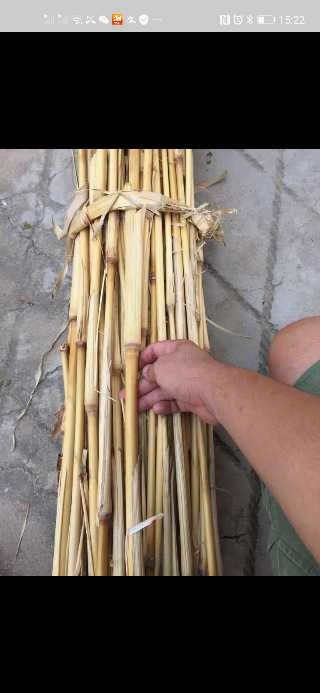 1捆高粱杆高粱棵秫秸祭祀焚烧专用