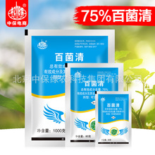 中保农药 75%百菌清 蔬菜 黄瓜 霜霉病 农药 杀菌剂 整箱批发