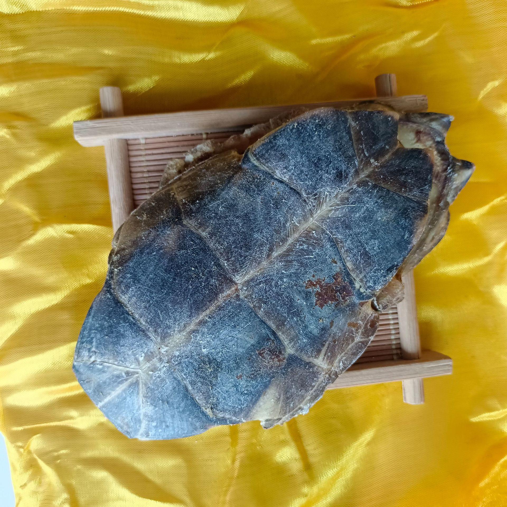 龟板中药材龟甲 旱龟板 生龟板 炙龟板批发现货供应【文杰药材】