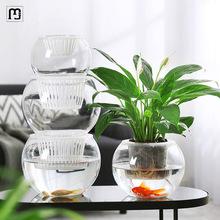 纳纶简约现代水培植物玻璃花瓶水养绿萝绿植插花器皿客厅桌面装饰