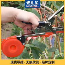 葡萄西红柿绑蔓枪番茄黄瓜绑枝器绑蔓器修枝机胶带机黄瓜捆枝机器