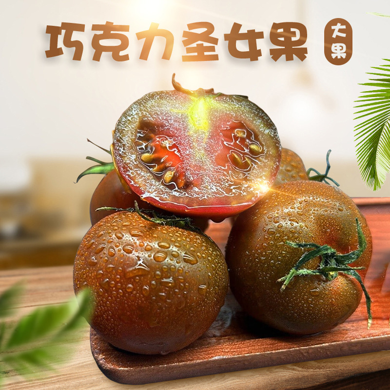 山东潍坊巧克力圣女果3/5斤新鲜小洋柿子农家蔬菜水果千禧小西红