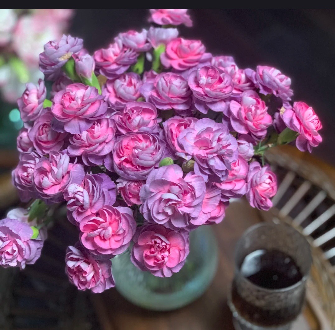 品韵鲜花 一到两把一个运费市场代购多头康乃馨不退不换不包邮