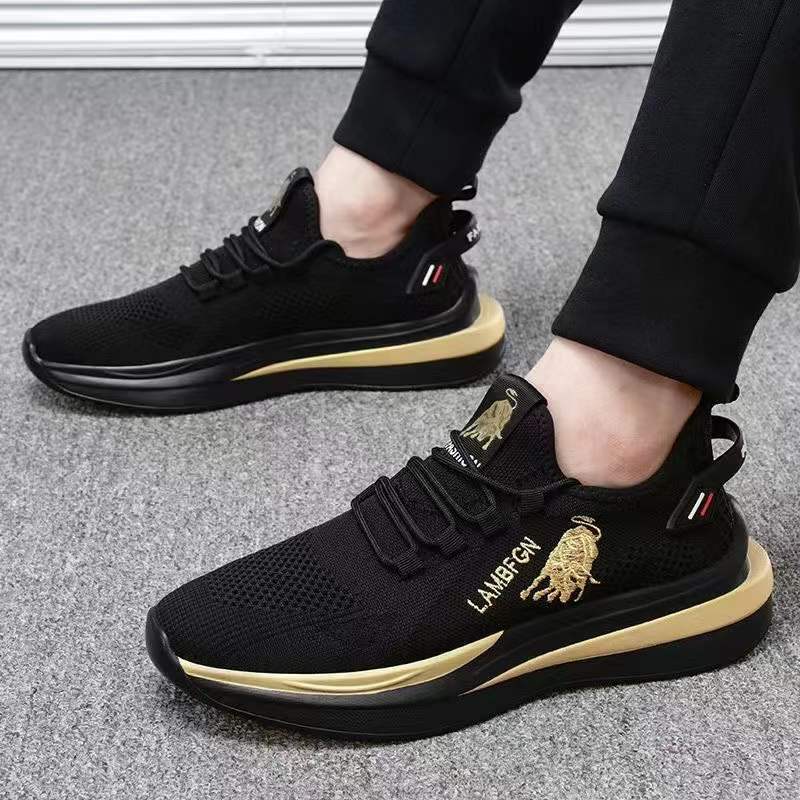 Spring, Summer and Autumn Korean Style Boys Low-Top Soft Bottom Stylish Sneaker Mesh Front Lace-up Men's Casual Shoes