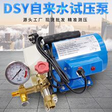 DSY-60手提式电动试压泵 压力测压泵 试压机管道打压机 厂家批发
