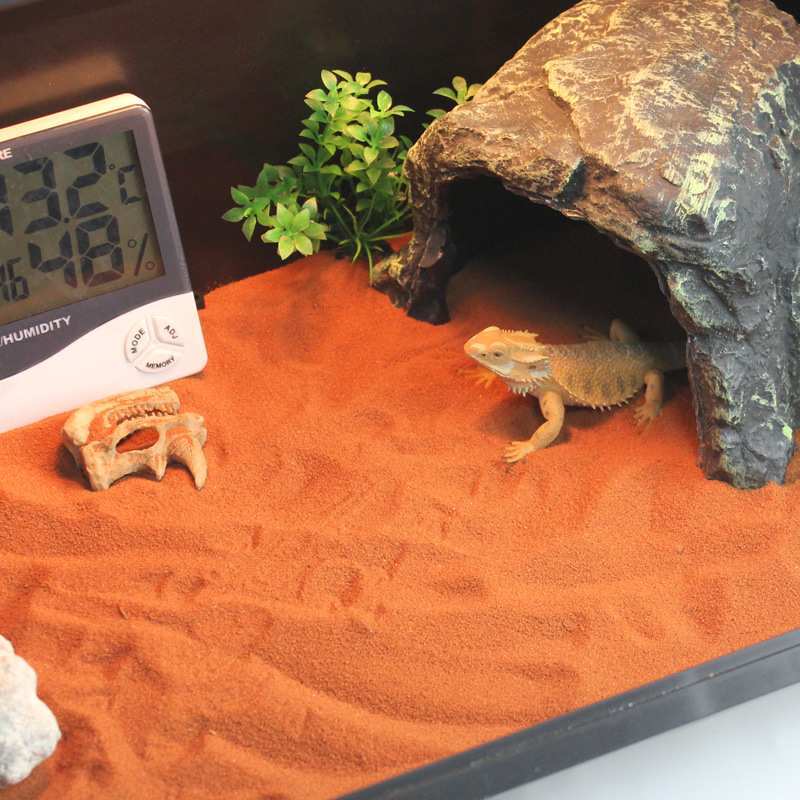 钙砂爬虫沙垫材鬃狮蜥蜴守宫用品爬宠沙饲养沙漠造景装饰陆龟乌龟