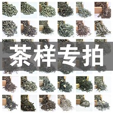 广西芸鼎茶业茉莉花茶横县核心产地茶厂茶叶批发中高低试喝样10g