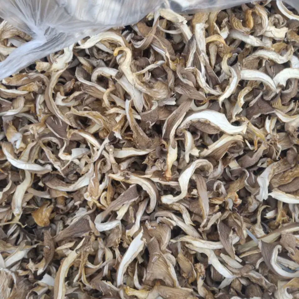 平菇干货菇条家庭食用菌凤尾菇灰平菇散装干蘑菇片干平菇菌包