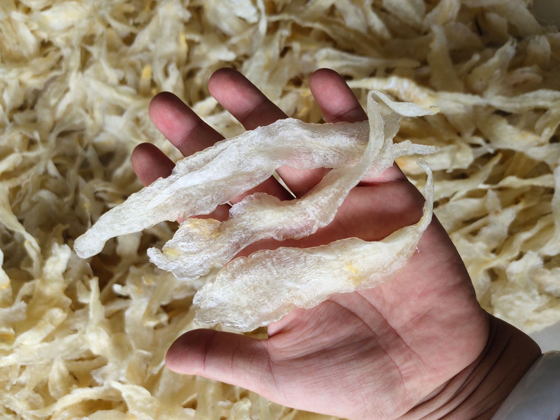 水发淡水金龙鱼胶花胶 500g 阿里巴巴批发北海花胶鱼肚 酒店食材