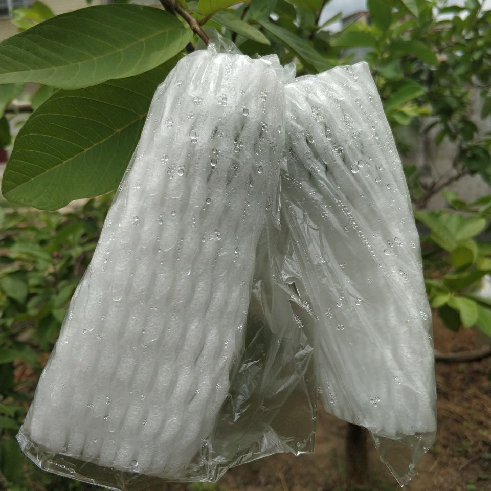 惠农厂家番石榴防虫袋芭乐一体袋防鸟水果套袋泡沫网袋水果保鲜袋